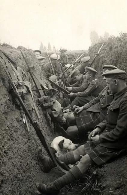 Ilustração trincheira de guerra