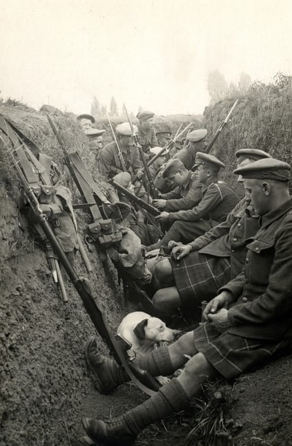 Ilustração trincheira de guerra